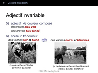 Accord des adjectifs grammaire française