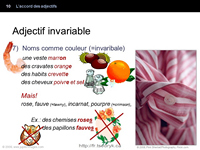 Accord des adjectifs grammaire française